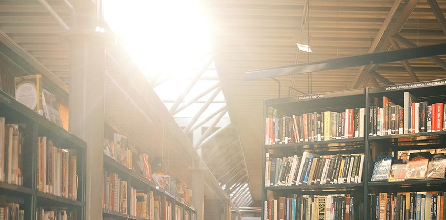 Immunitet Knogle frø Ledig stilling - Lillehammer bibliotek